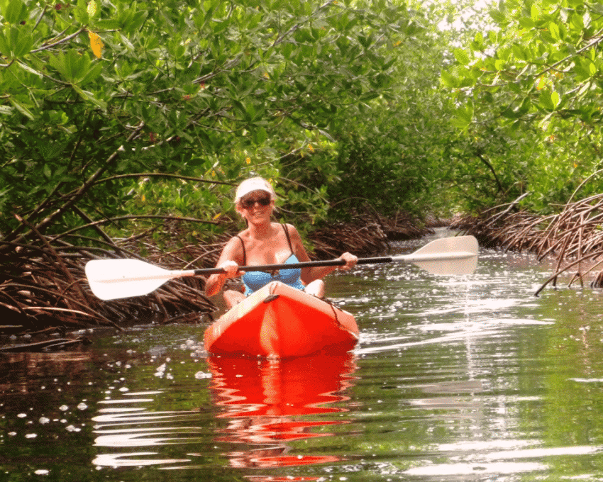 nancy mangrove 1 copy e1454179792947