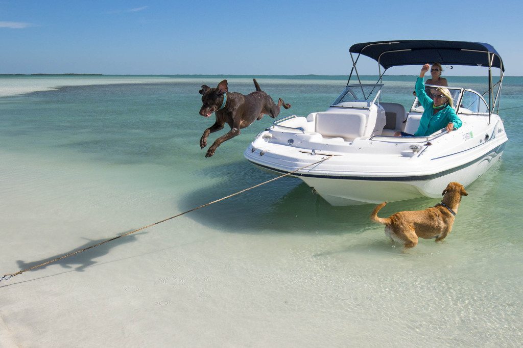 Rentalboatsmarathon » Looe Key Snorkeling And Diving